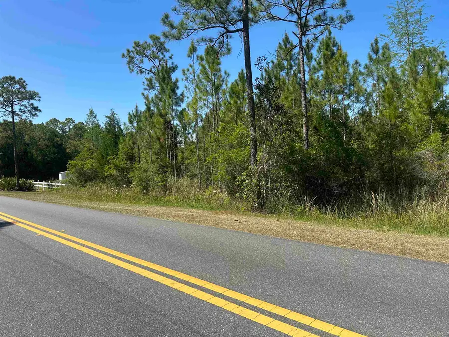 Xx20 Mill Road, Carrabelle, FL 32322 - #3