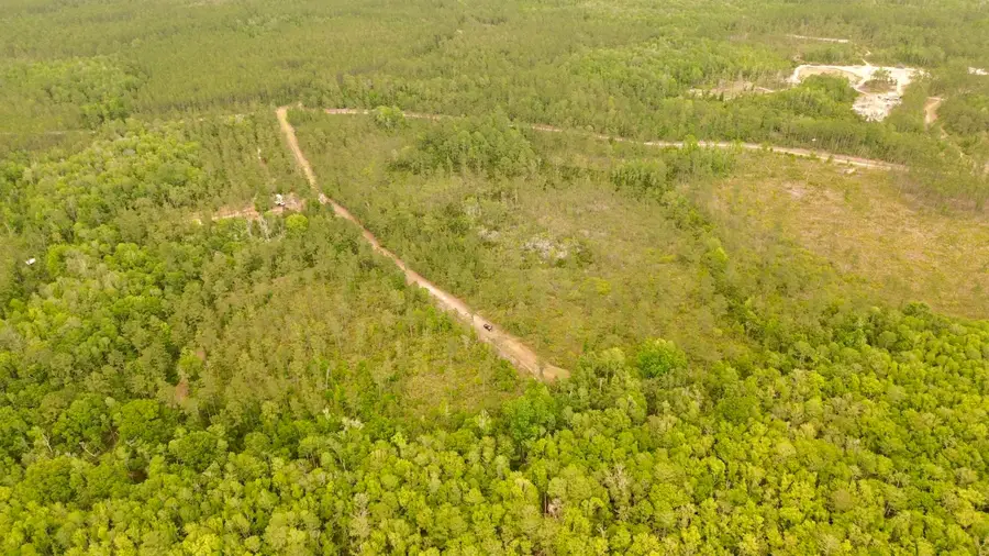 Lot 84 SW Oregon Trail, Greenville, FL 32331 - #3