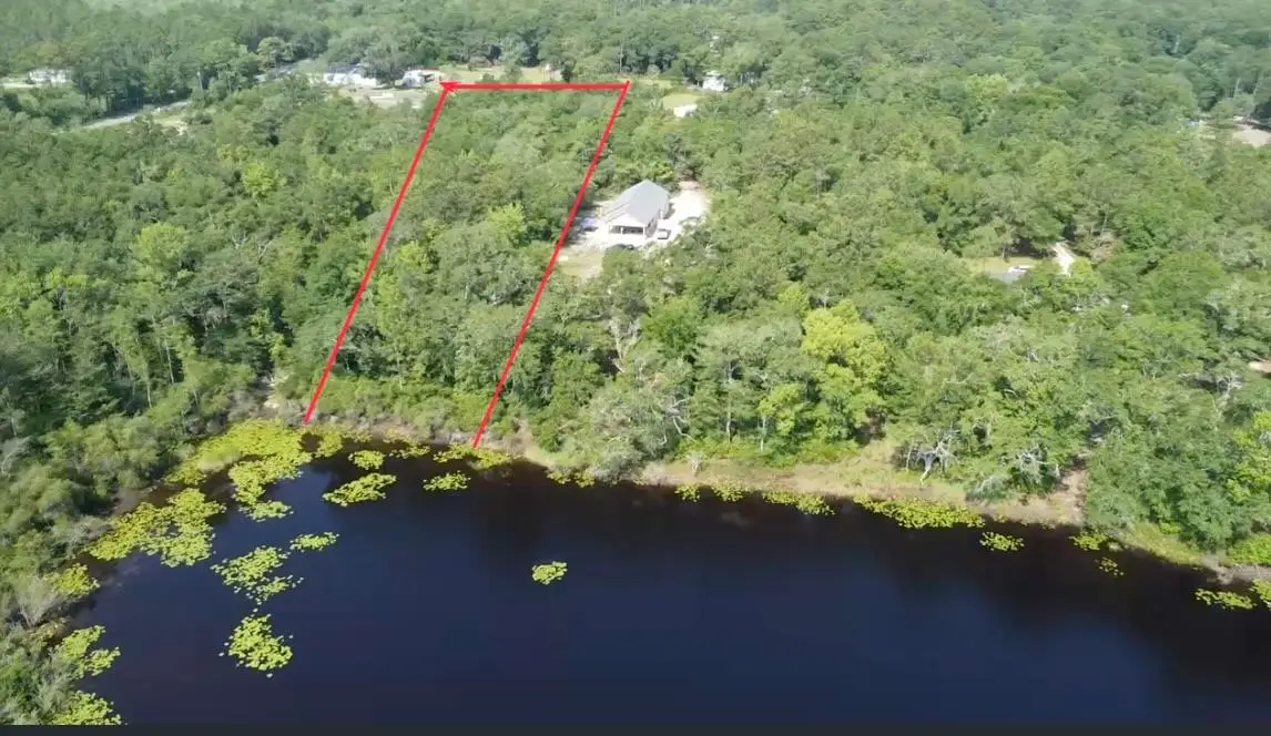 xx Friendship Lane, Crawfordville, FL 32327 - #1
