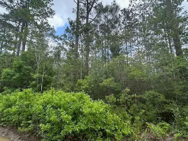 xx N 15th Avenue, Avalon, FL 32583 - #3