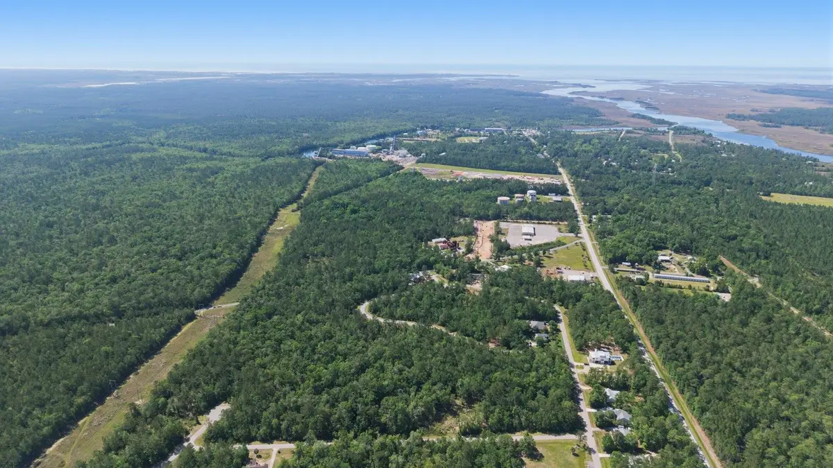 xxx Burnt Pine Loop, Saint Marks, FL 32355 - #1
