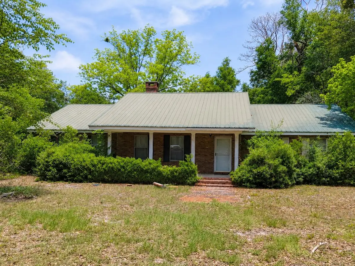 14301 176th Street, McAlpin, FL 32062 - #1