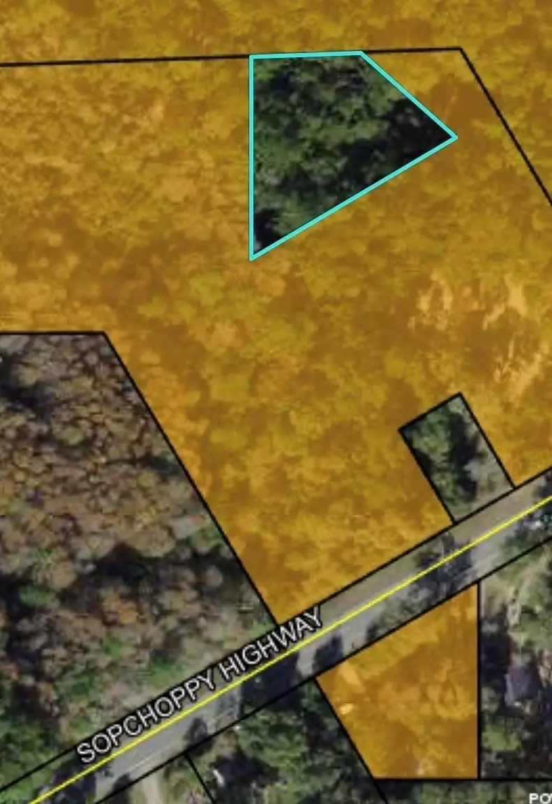Sopchoppy Highway, Sopchoppy, FL 32358 - #1
