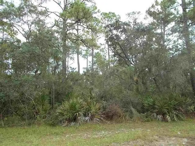 27 Piper Lane, Panacea, FL 32346 - #2