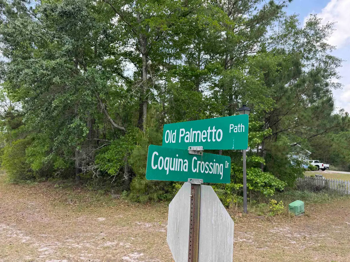 xxx Old Palmetto Path, Saint Marks, FL 32355 - #1