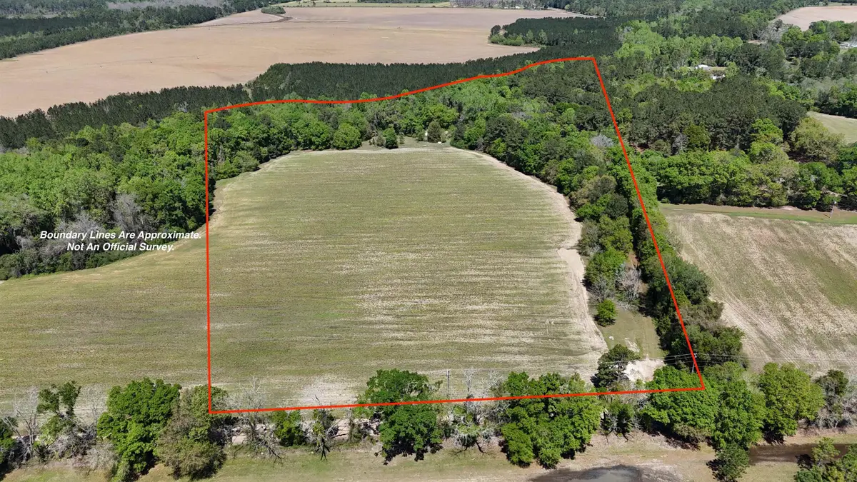 1975 Rook Road, Ochlocknee, GA 31773 - #1
