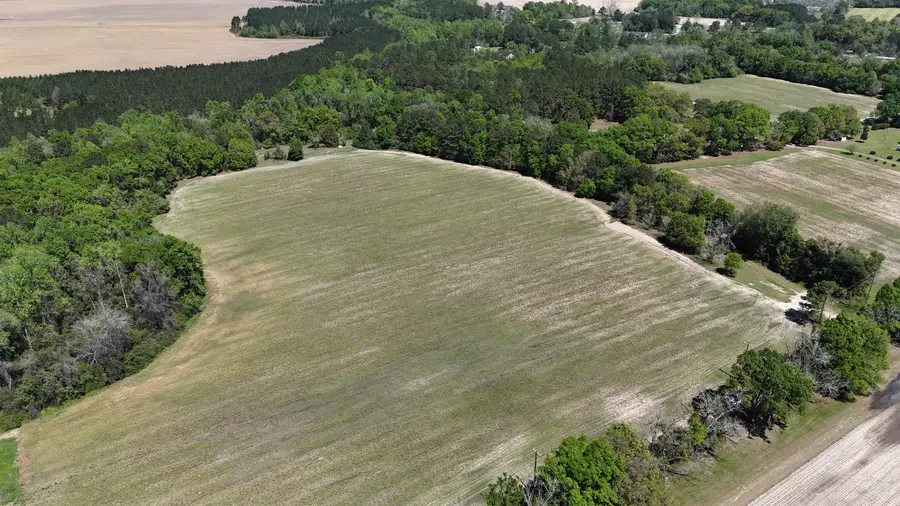 1975 Rook Road, Ochlocknee, GA 31773 - #3