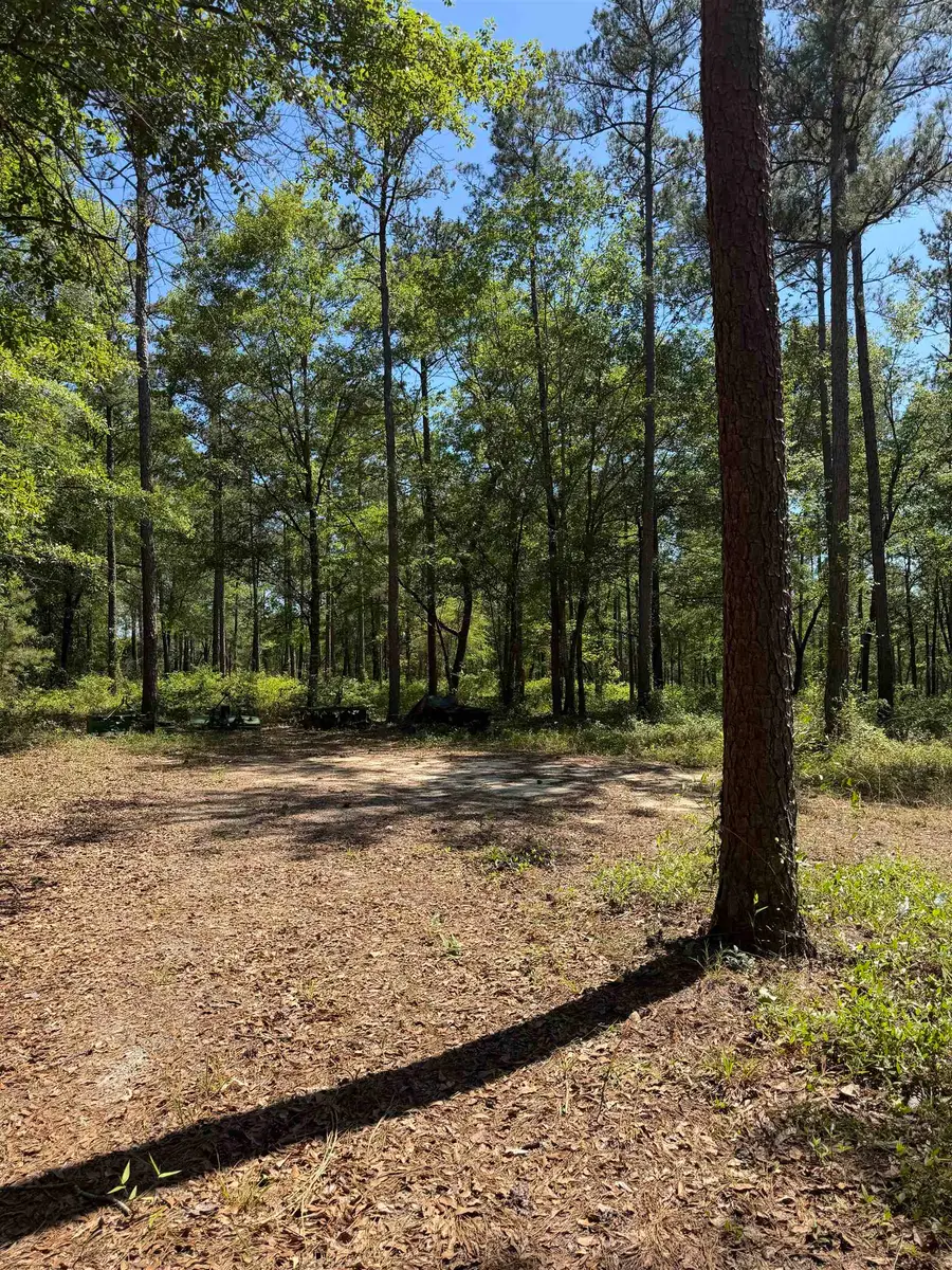 2690 Hardaway Road, Chattahoochee, FL 32324 - #3