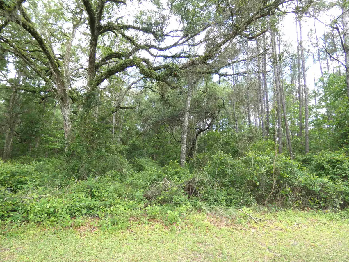 TBD E Cavallo Trail, Monticello, FL 32344 - #1