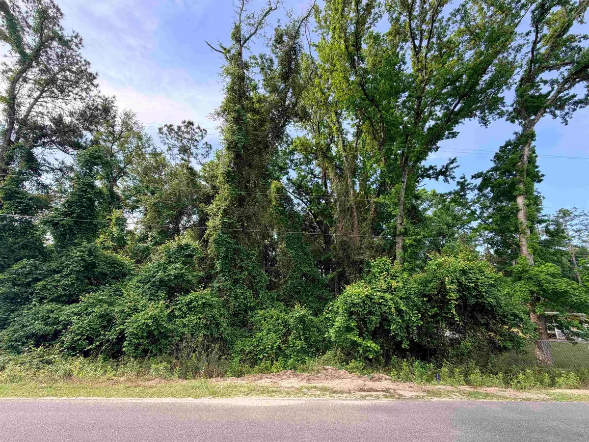 King Bee Drive, Crawfordville, FL 32327 - #1