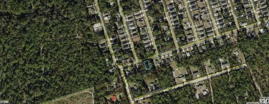 King Bee Drive, Crawfordville, FL 32327 - #3
