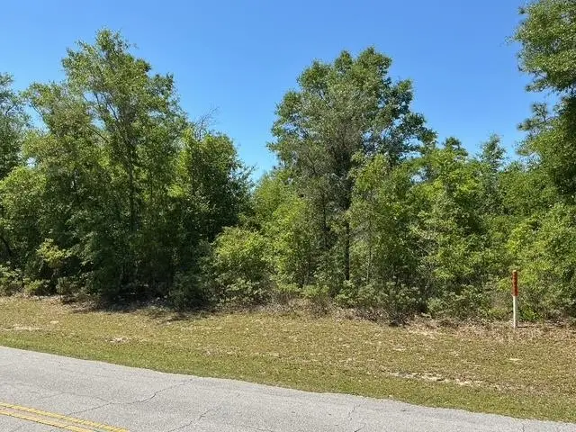 Country Club Boulevard, Chipley, FL 32428 - #2