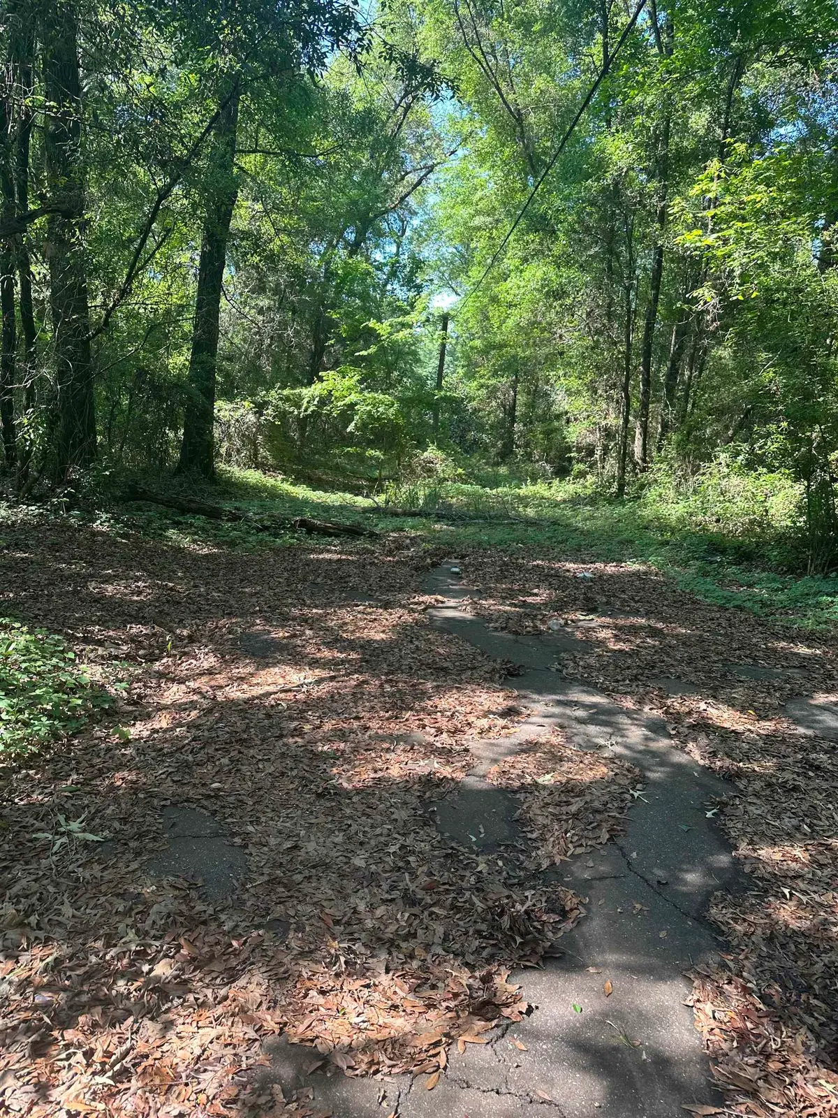 XX Goldwire Road, Quincy, FL 32351 - #1