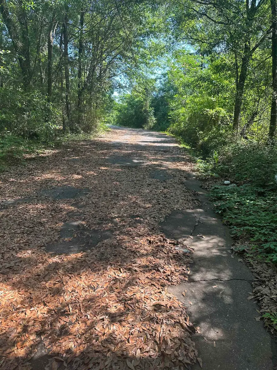 XX Goldwire Road, Quincy, FL 32351 - #2