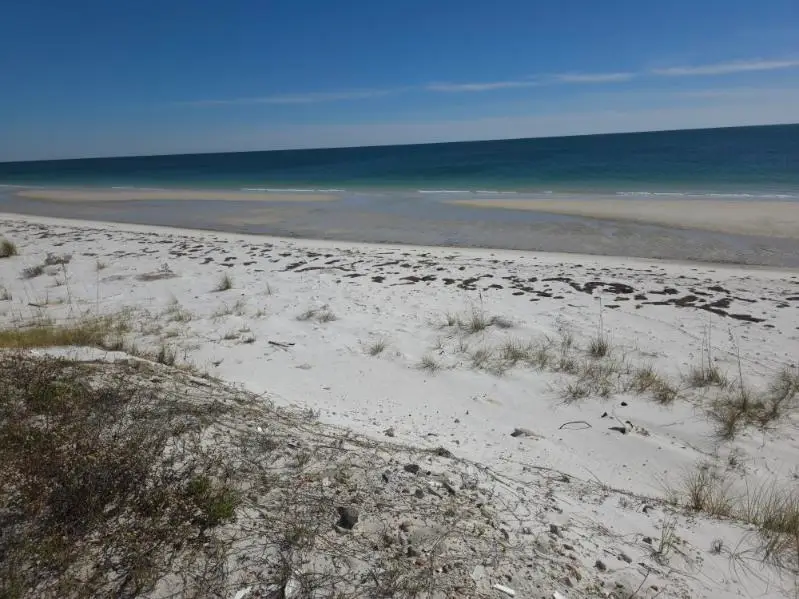 682 Gulf Shore Drive, Carrabelle, FL 32322 - #3