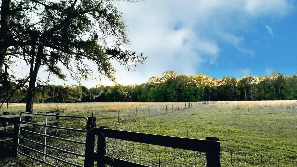 xx Fanlew Road, Monticello, FL 32344 - #1