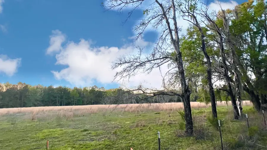 xx Fanlew Road, Monticello, FL 32344 - #2
