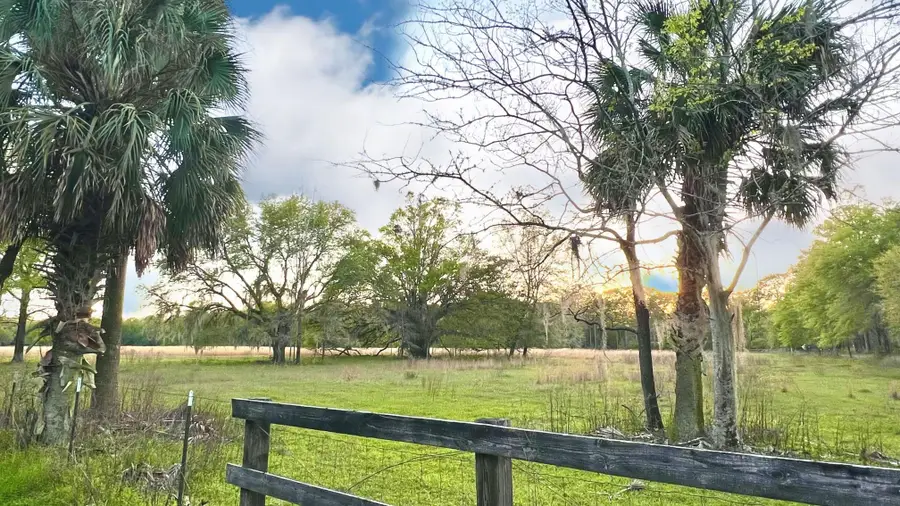 xx Fanlew Road, Monticello, FL 32344 - #3