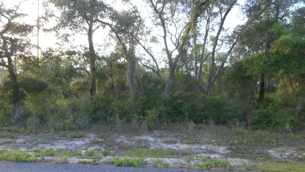 Lot 26 Pelican Way, Ochlockonee Bay, FL 32346