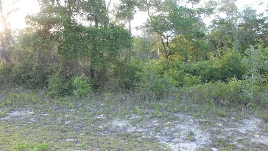 Lot 26 Pelican Way, Ochlockonee Bay, FL 32346 - #2