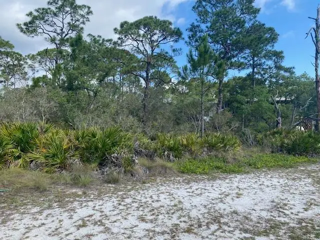 23 Beechcraft Drive, Panacea, FL 32346 - #1