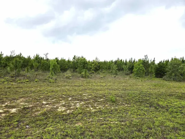xxx NW Telogia Creek Estates W, Bristol, FL 32321