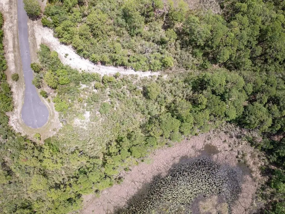Lot84 Hidden Pond Lane, Panacea, FL 32346 - #1