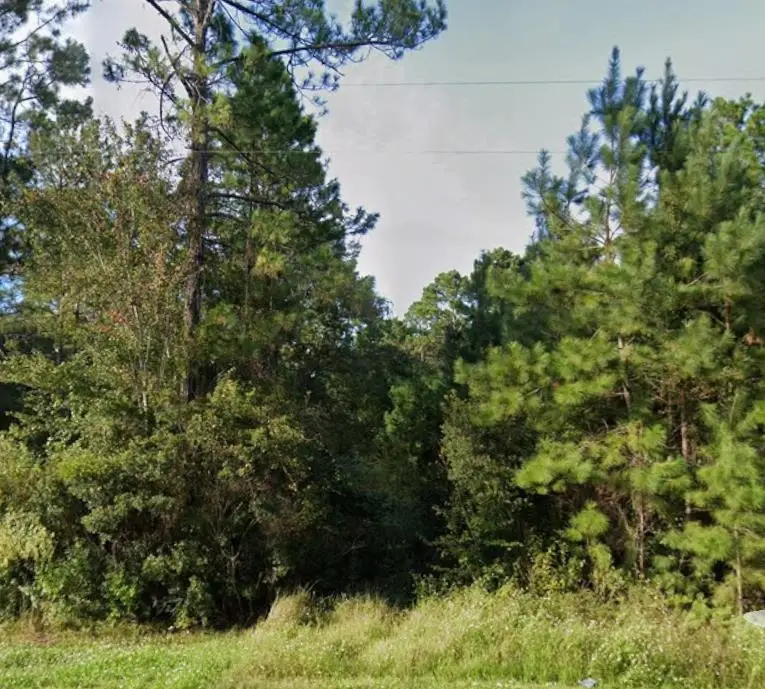 18724 Bloxham Cutoff, Tallahassee, FL 32310 - #3