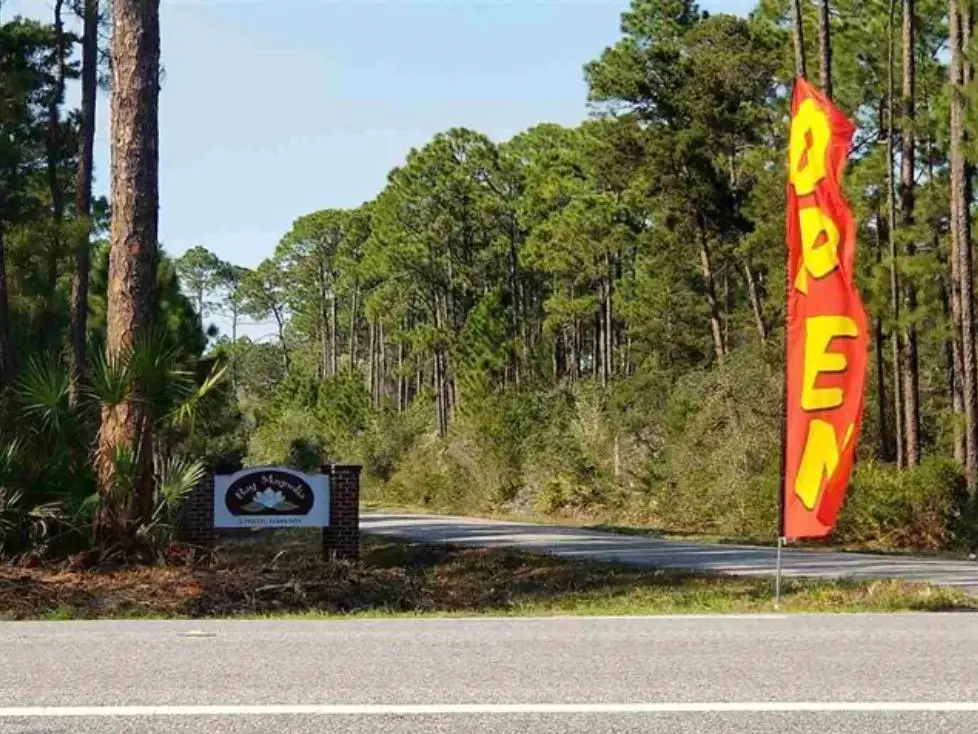 146 Bay Magnolia Court, Carrabelle, FL 32322 - #1