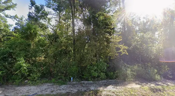 44 Chicopee Road, Crawfordville, FL 32327