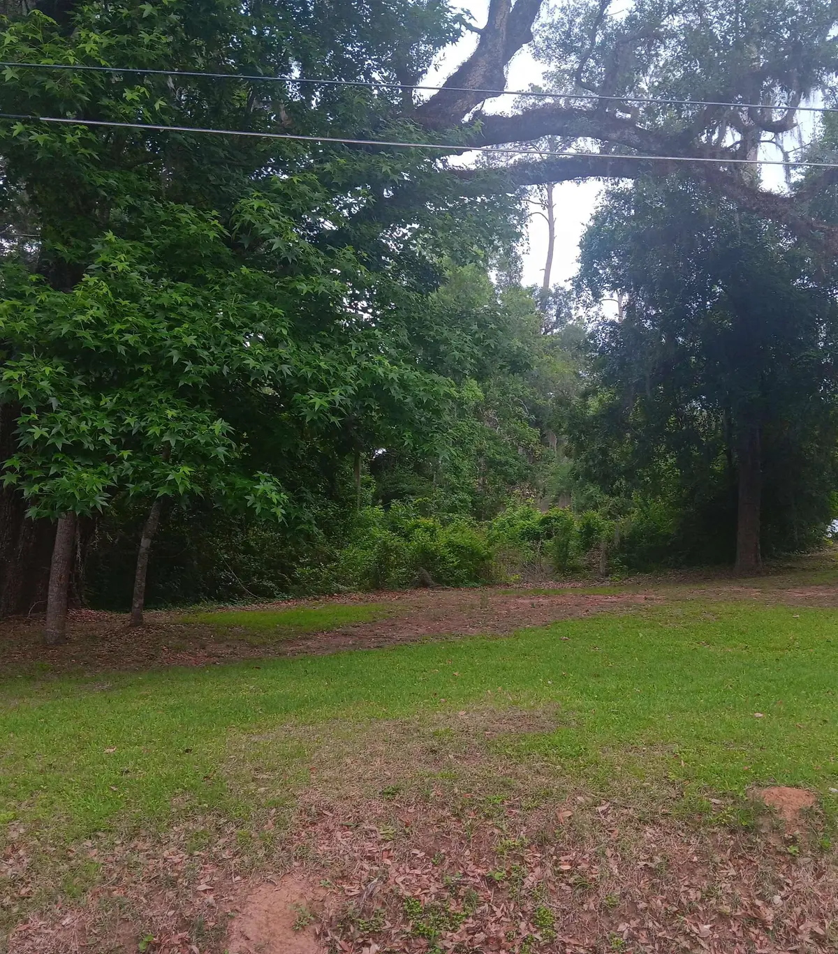 1908 Atapha Nene, Tallahassee, FL 32301 - #1