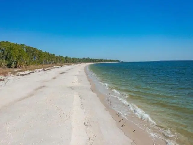 2528 Oleander Terrace, Carrabelle, FL 32322 - #3