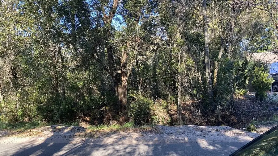 221 17th Street, Apalachicola, FL 32320 - #2