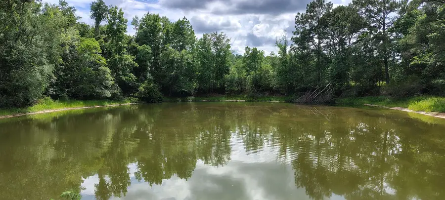 10481 Ashville Highway, Greenville, FL 32331 - #2