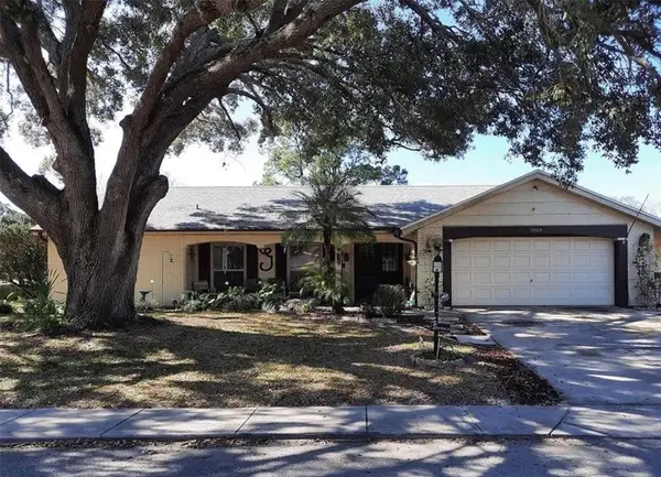 12605 River Mill Drive, Other Florida, FL 34667