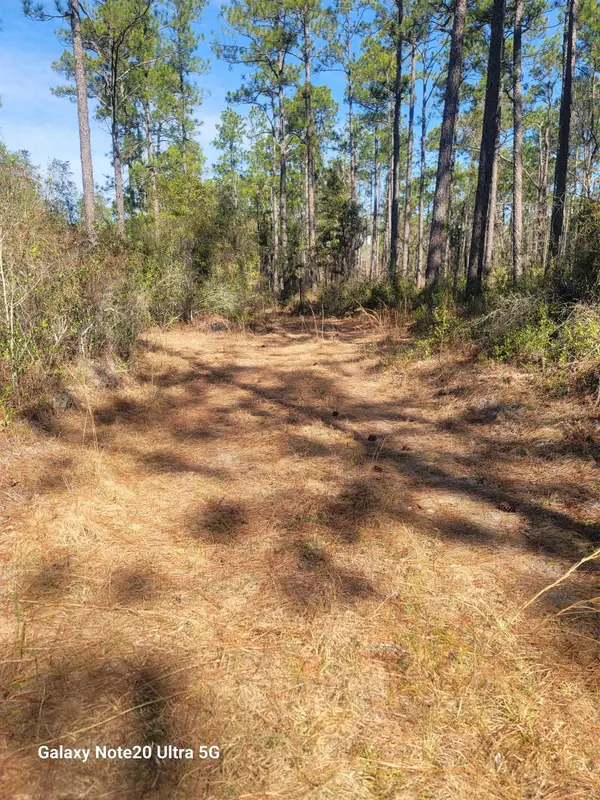 0 Smith Creek Road, Tallahassee, FL 32310