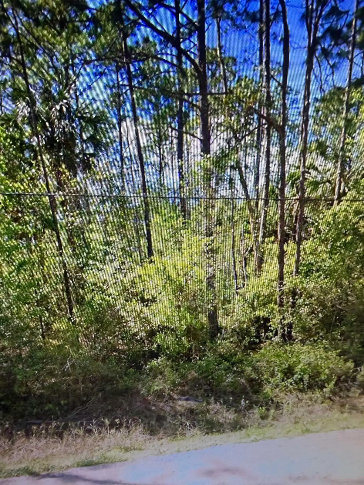 2184 Laure Avenue, Bunnell, FL 32110 - #1