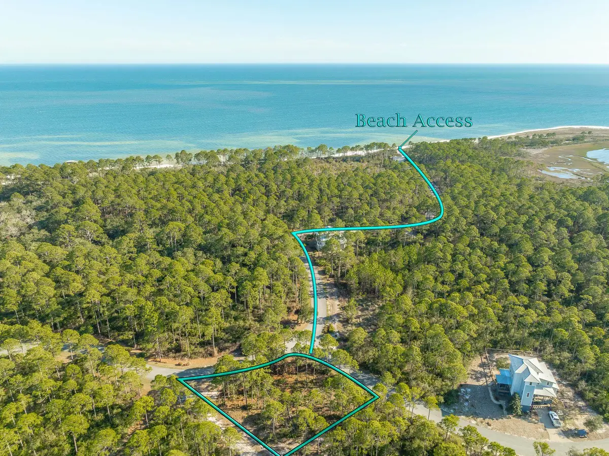 173 Lightining Bug Lane, Saint Teresa, FL 32358 - #1
