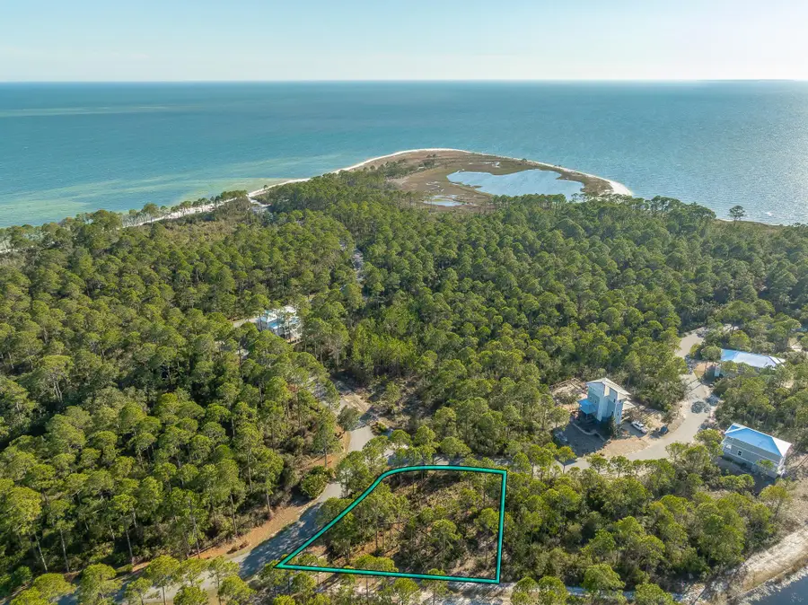 173 Lightining Bug Lane, Saint Teresa, FL 32358 - #3