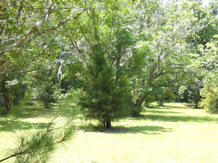 790 Wj Hatchett Road, Lamont, FL 32336 - #2