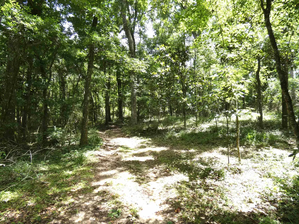 tbd Gamble Road, Monticello, FL 32344 - #1