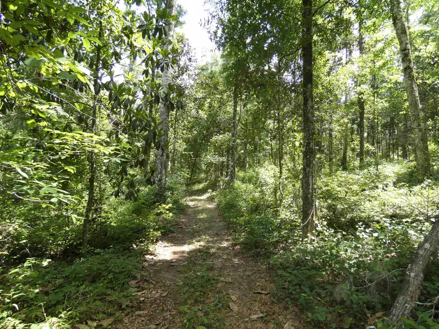 tbd Gamble Road, Monticello, FL 32344 - #2