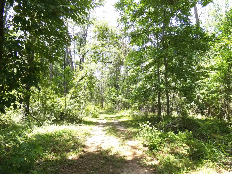 tbd Gamble Road, Monticello, FL 32344 - #3