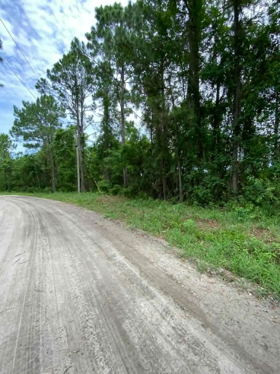 XX Jer-be-lou Circle, Panacea, FL 32346 - #2