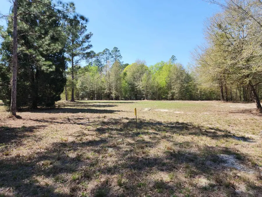 000 NW 48th Way, Jennings, FL 32053 - #3