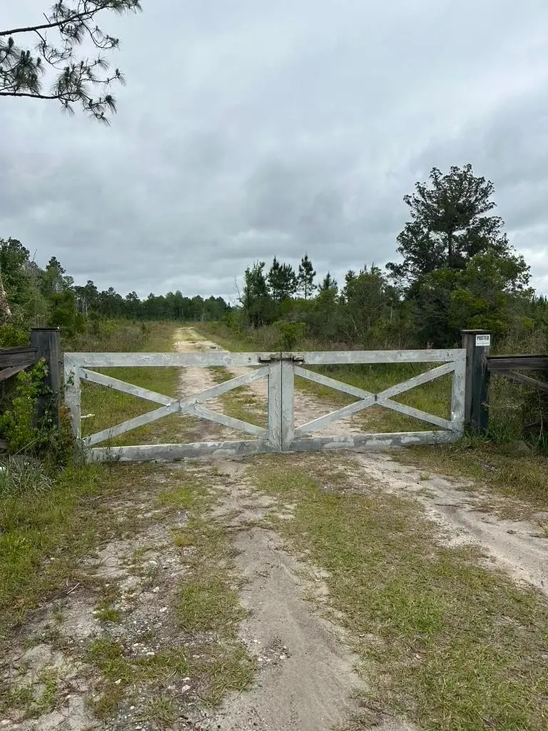 xx Locha Trail, Crawfordville, FL 32327 - #3
