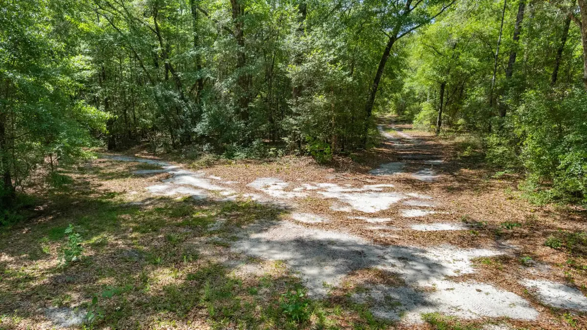 21204 John Ford Lane, Tallahassee, FL 32310 - #1