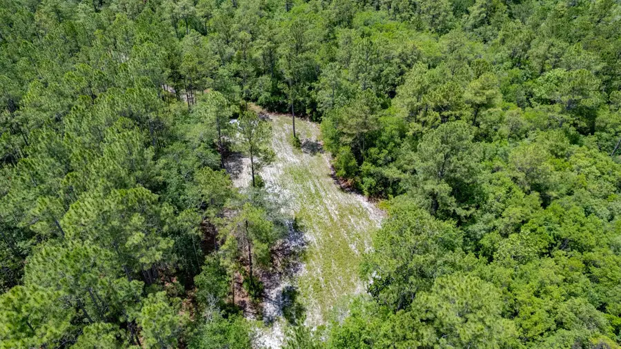 21204 John Ford Lane, Tallahassee, FL 32310 - #3
