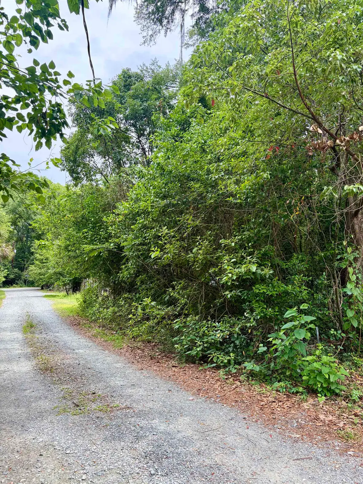 2607 Red Arrow Road, Tallahassee, FL 32301 - #1