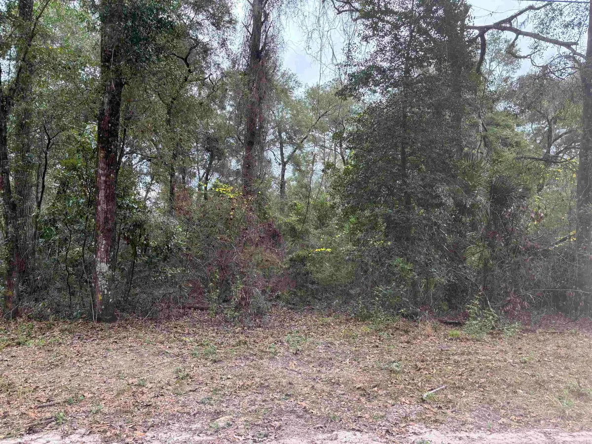133 Rochelise Road, Crawfordville, FL 32327 - #1